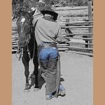 CowboyClean-066.jpg   85.6K